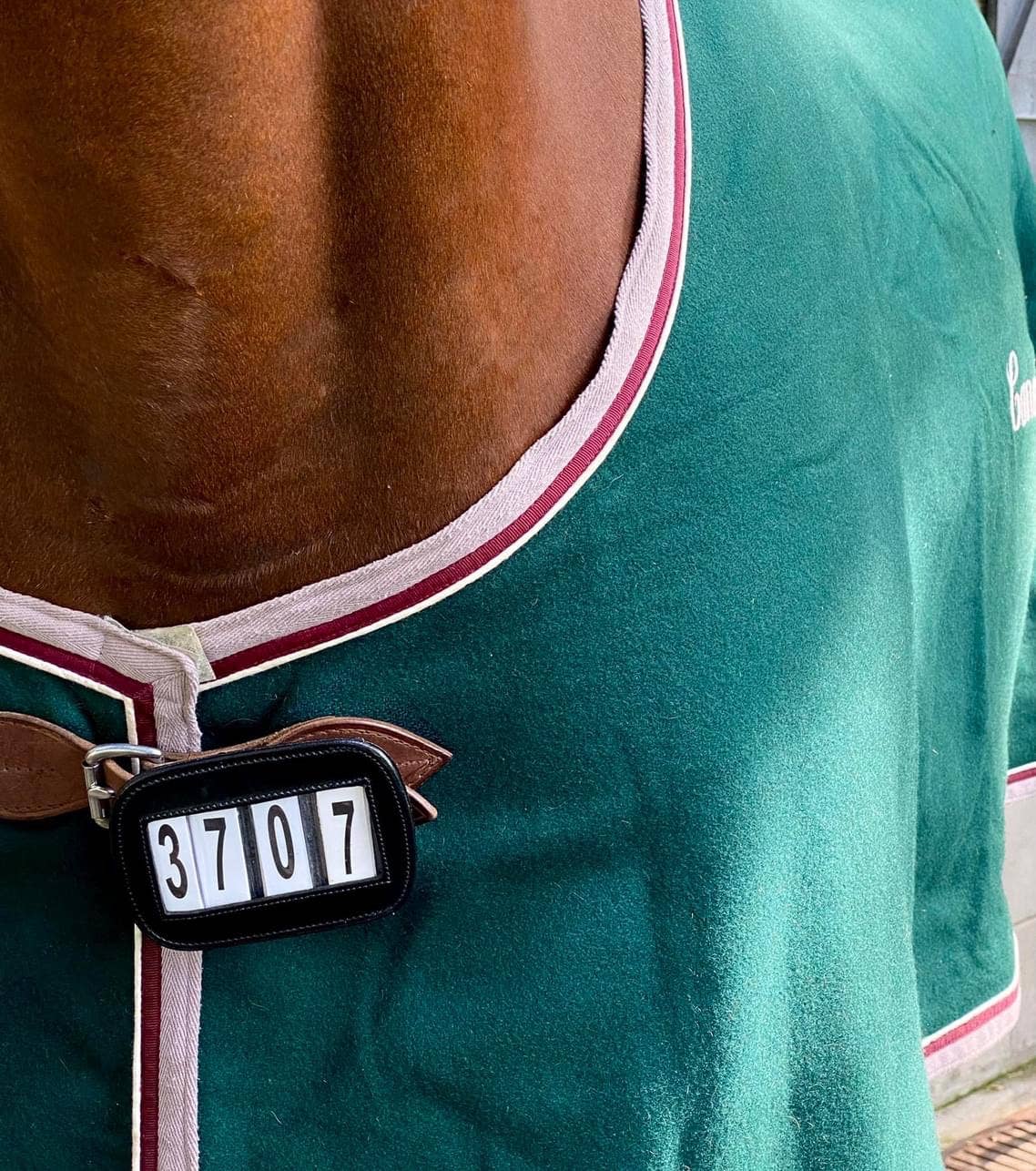 ACE Equestrian - Number Tag